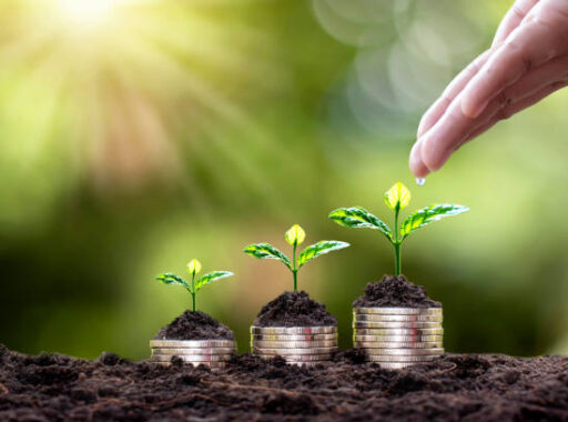 Planting on stacked coins and hand watering plants on green blurred background and natural light with financial concept.