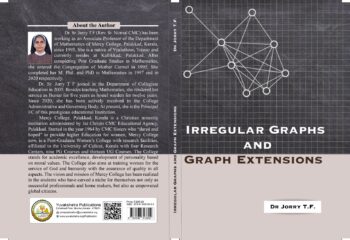 Irregular Graphs and Graph Extensions